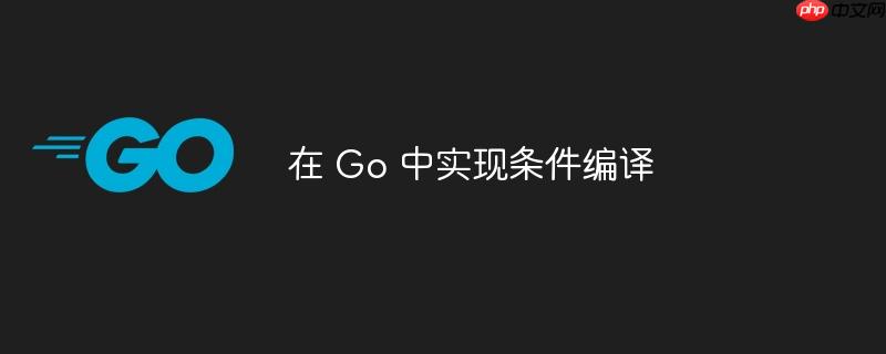 在 go 中实现条件编译