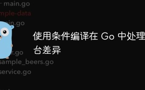 使用条件编译在 Go 中处理平台差异