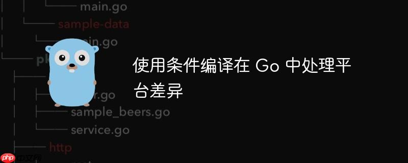 使用条件编译在 go 中处理平台差异