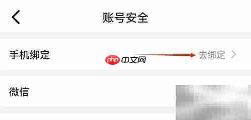Earth地球APP手机号绑定教程