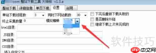 设置整站下载器避错技巧