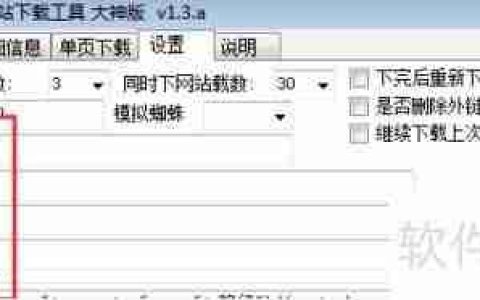 设置整站下载器避错技巧