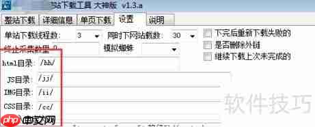 设置整站下载器避错技巧