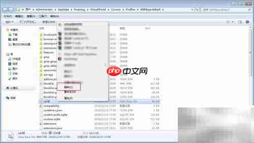cocoon浏览器连接不安全提示