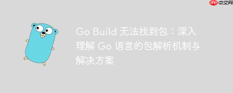 Go Build 无法找到包:深入理解 Go 语言的包解析机制与解决方案