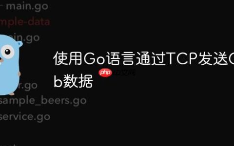 使用Go语言通过TCP发送Gob数据