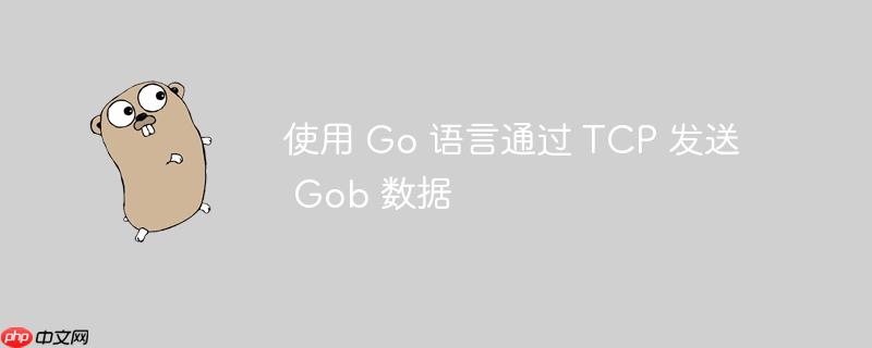使用 go 语言通过 tcp 发送 gob 数据
