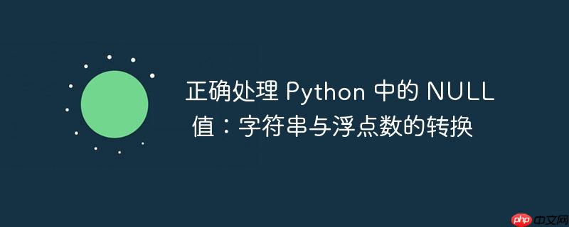 正确处理 python 中的 null 值：字符串与浮点数的转换