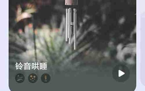 小睡眠中遇见音乐家