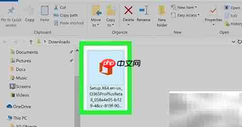 Microsoft Office安装指南
