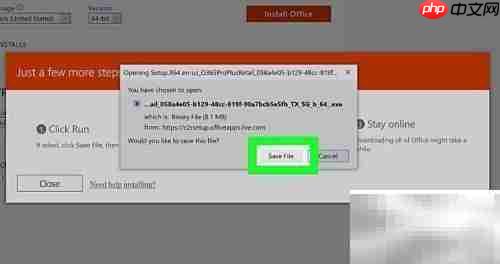 Microsoft Office安装指南