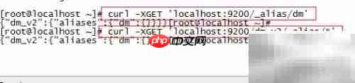 Elasticsearch别名使用指南