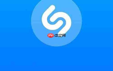Shazam启动时自动识别音乐设置