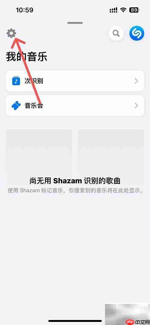 Shazam启动时自动识别音乐设置