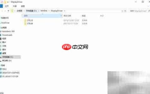 Win10清理C盘：NVIDIA冗余文件