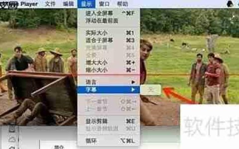 射手播放器自动匹配字幕方法