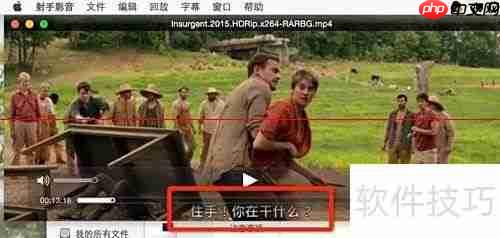 射手播放器自动匹配字幕方法