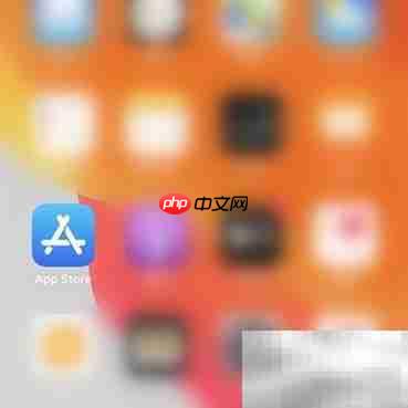 iOS上Express使用指南