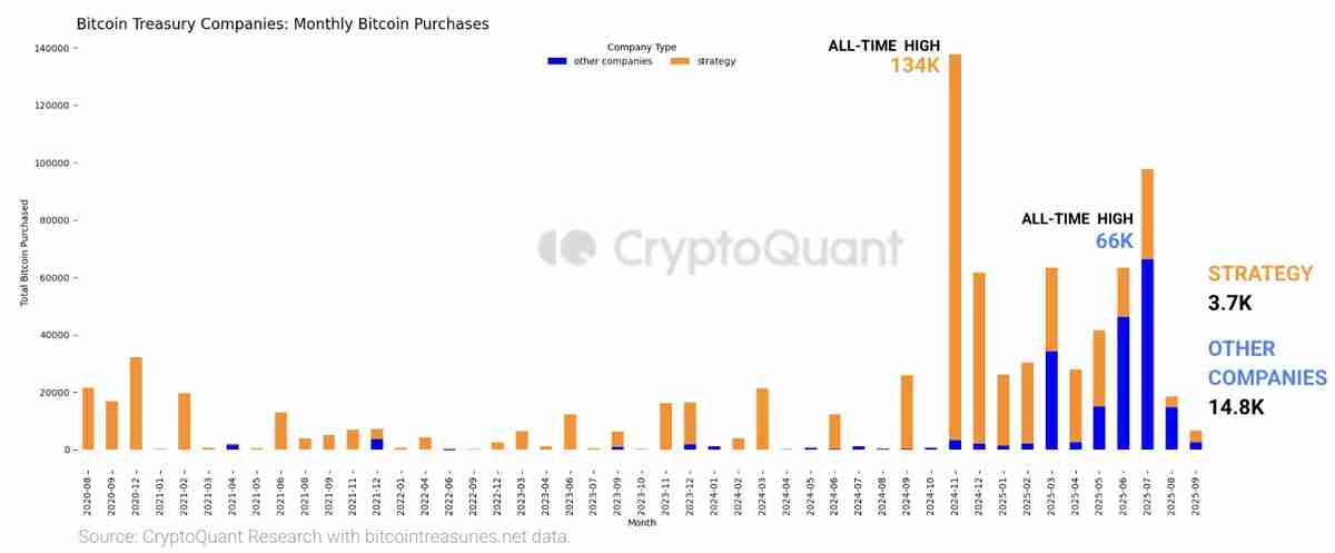 比特币长期持有者抛售24.1万枚BTC:一文了解价格会跌破10万美元吗?