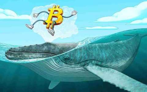 比特币巨鲸抛售11.5万枚BTC，创2022年中期以来最大抛售潮