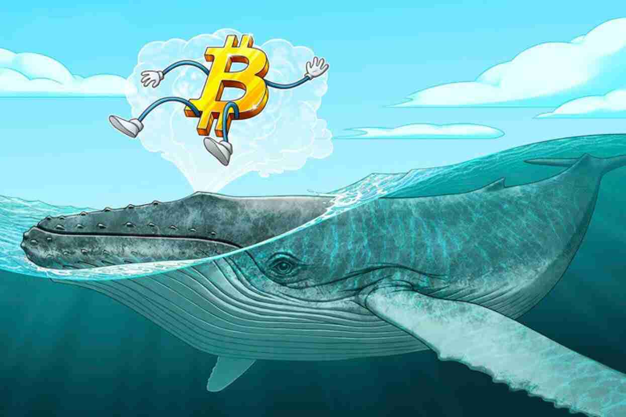 比特币巨鲸抛售11.5万枚BTC,创2022年中期以来最大抛售潮