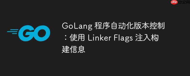 GoLang 程序自动化版本控制:使用 Linker Flags 注入构建信息