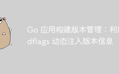 Go 应用构建版本管理：利用 ldflags 动态注入版本信息