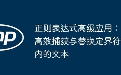 正则表达式高级应用：高效捕获与替换定界符内的文本