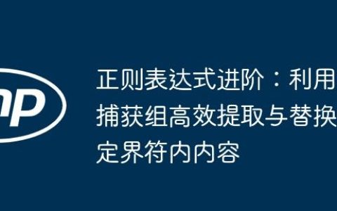 正则表达式进阶：利用捕获组高效提取与替换定界符内内容