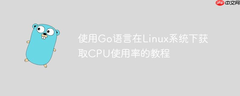 使用Go语言在Linux系统下获取CPU使用率的教程