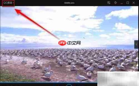 取消QQ影音默认播放器方法