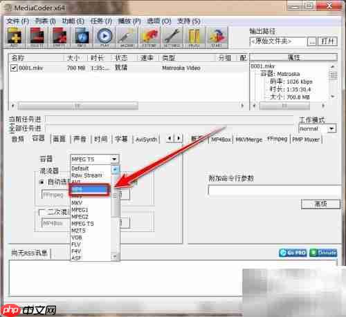 MKV无损转MP4技巧