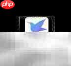 迅雷关联AMV文件设置方法