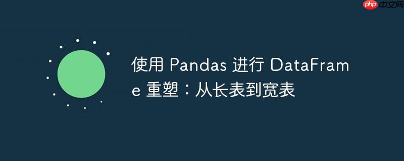 使用 pandas 进行 dataframe 重塑:从长表到宽表