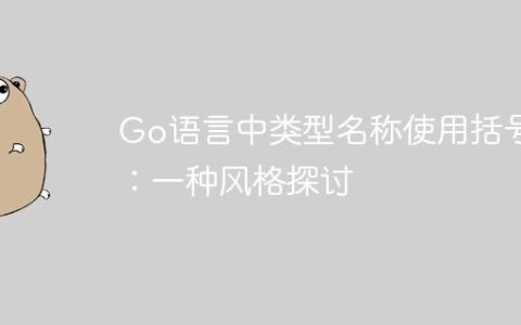 Go语言中类型名称使用括号：一种风格探讨