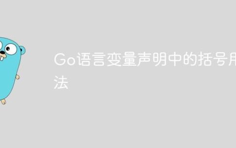 Go语言变量声明中的括号用法