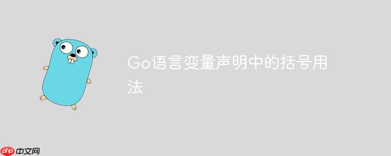 go语言变量声明中的括号用法