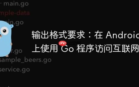 输出格式要求：在 Android 上使用 Go 程序访问互联网