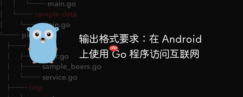 输出格式要求:在 android 上使用 go 程序访问互联网