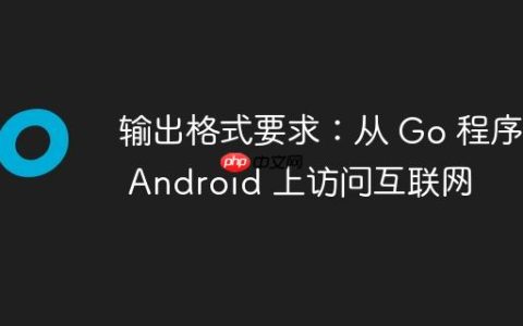 输出格式要求：从 Go 程序在 Android 上访问互联网