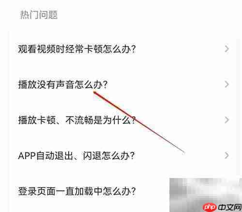 影视大全播放无声怎么办