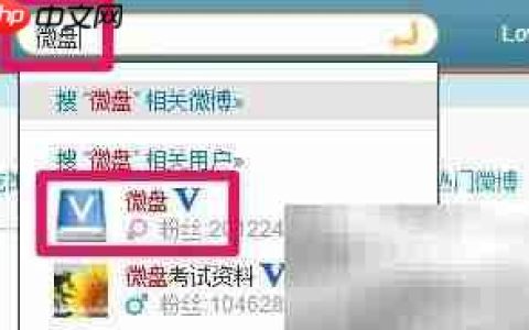 微盘使用方法详解