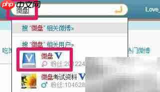 微盘使用方法详解