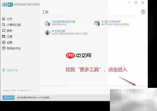 ESET隔离区文件管理指南