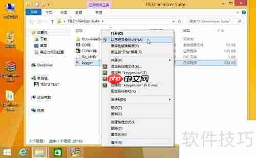 完美安装FILEminimizer指南