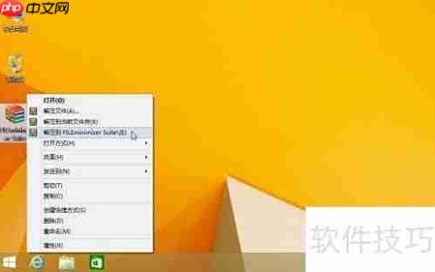 完美安装FILEminimizer指南