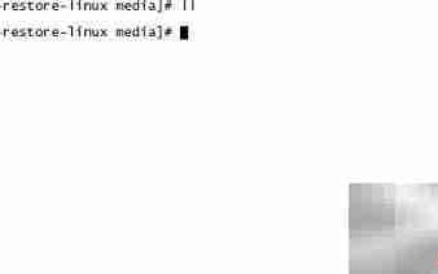Linux虚拟机光驱识别问题