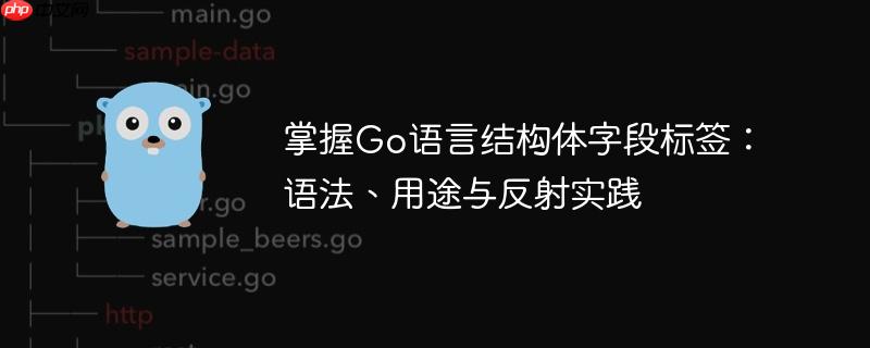 掌握Go语言结构体字段标签:语法、用途与反射实践