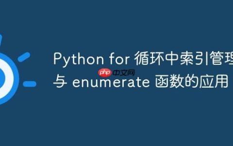 Python for 循环中索引管理与 enumerate 函数的应用