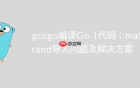 gccgo编译Go 1代码：math/rand导入问题及解决方案